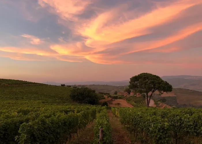 Quinta Dos Espinheiros