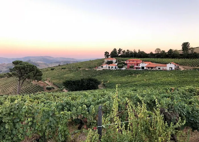 Quinta Dos Espinheiros