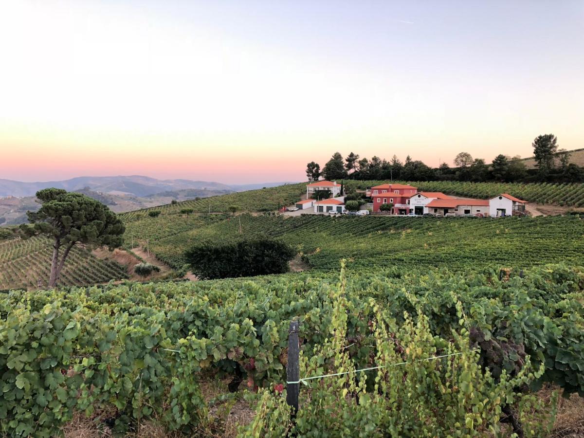 Ferienhaus Quinta Dos Espinheiros - Casa De Turismo